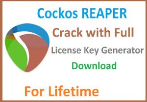Reaper 4.78 license key generator for sale