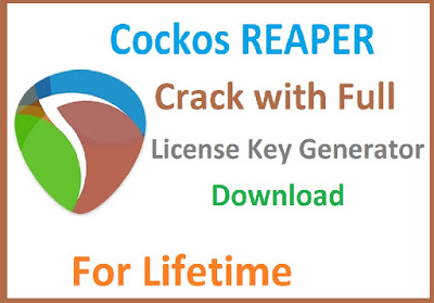 reaper music software key