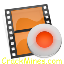 Tumblebugs 2 crack keygen for mac windows 7